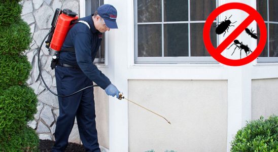 Çerkezköy Sivrisinek İlaçlama böcek ilaçlama ve haşere kontrolü — ilaclama-tr.com